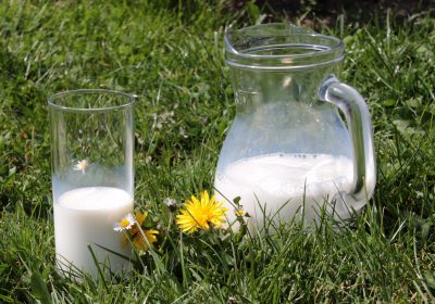 benefits of organic milk