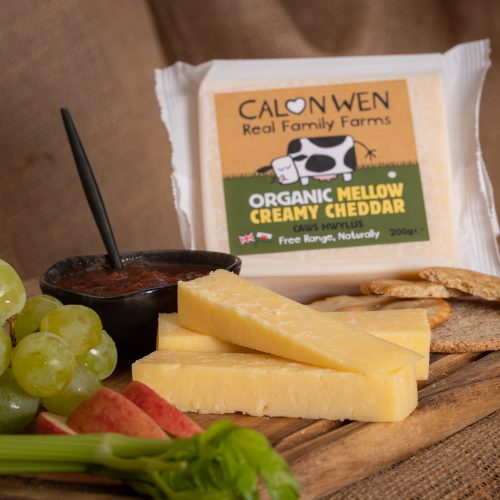 welsh cheese, organic cheese, welsh cheeses by post, grass fed cheese, abel and cole cheese, welsh cheese company, cheese wales, ethical cheese, ethical cheese brands, organic cheddar cheese, extra mature cheddar cheese
