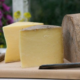 Hafod organic cheddar